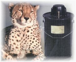 Loveless Ash Vacuum MU305  Cheetah II Black  001-7305